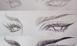 漫画眉毛,漫画眉毛的艺术魅力