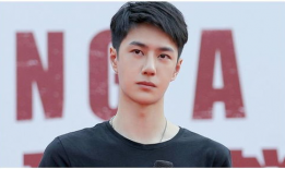 吃瓜娱乐圈王一博是谁,娱乐圈的璀璨新星